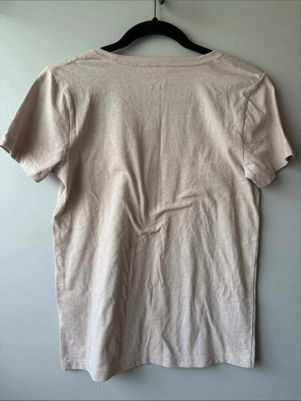 J. Crew Collectors Tee Beige Halloween Dogs pumpkin corgi retriever small